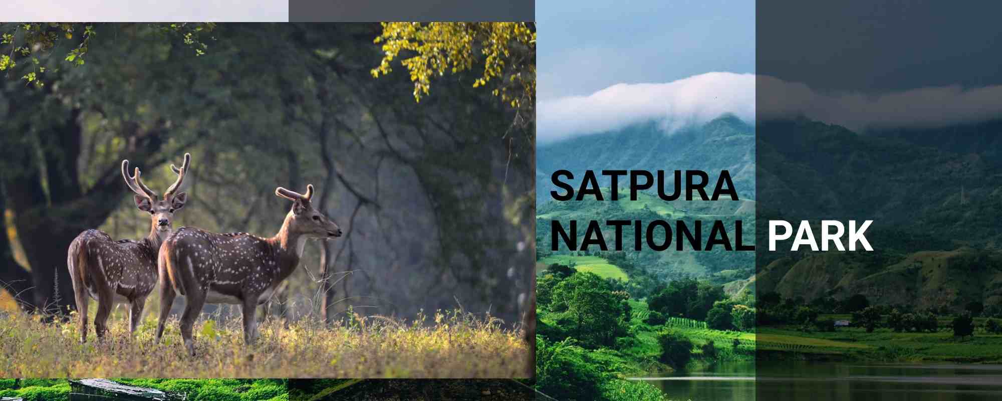 Satpura National Park